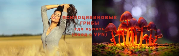 герыч Елабуга