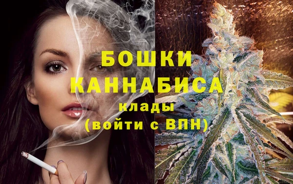 твердый Елизово