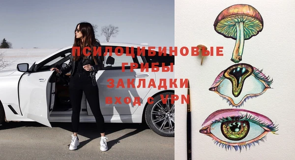твердый Елизово