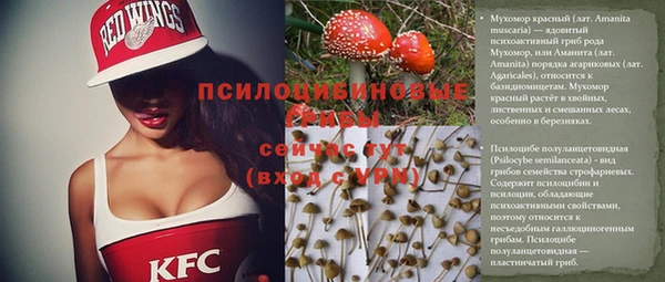 твердый Елизово